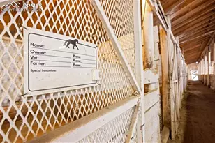 16685 Roller Coaster Rd, Colorado Springs, CO 80921 - Photo 41