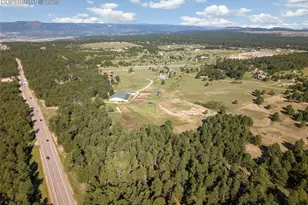 16685 Roller Coaster Rd, Colorado Springs, CO 80921 - Photo 7