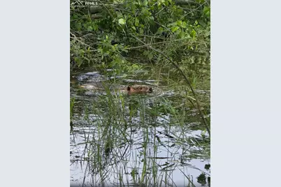 18461 Highway 115, Penrose, CO 81240 - Photo 41