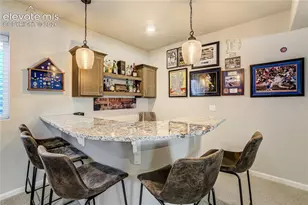 11824 Alydar Loop, Colorado Springs, CO 80921 - Photo 31