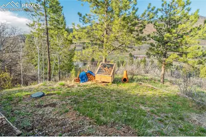 9610 Mohawk Trail, Cascade, CO 80809 - Photo 27