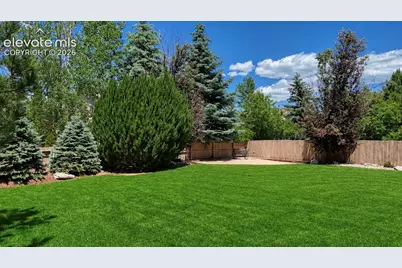 10274 Pine Glade Drive, Colorado Springs, CO 80920 - Photo 9