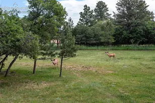 17220 Shiloh Pines Dr, Monument, CO 80132 - Photo 49