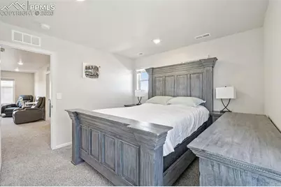 11427 Splake Street, Colorado Springs, CO 80925 - Photo 29