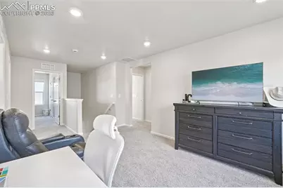 11427 Splake Street, Colorado Springs, CO 80925 - Photo 19