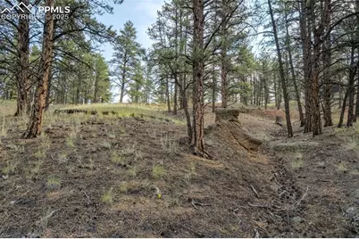 39 Reed Drive, Florissant, CO 80816 - Photo 15