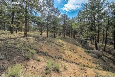 39 Reed Drive, Florissant, CO 80816 - Photo 21