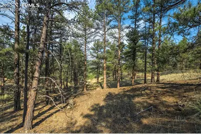 39 Reed Drive, Florissant, CO 80816 - Photo 13