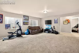 16149 Penn Central Way, Monument, CO 80132 - Photo 39