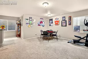 16149 Penn Central Way, Monument, CO 80132 - Photo 43