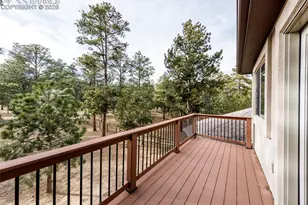 10916 Silver Mountain Point, Colorado Springs, CO 80908 - Photo 43