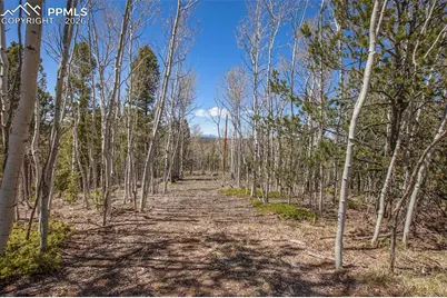 1548 Golden Cycle Circle, Cripple Creek, CO 80813 - Photo 19