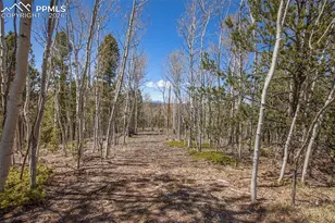 1548 Golden Cycle Cir, Cripple Creek, CO 80813 - Photo 19