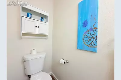 94 Vale Street, Palmer Lake, CO 80133 - Photo 21