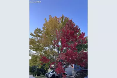 1310 Chesham Circle, Colorado Springs, CO 80907 - Photo 47