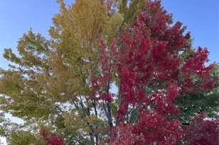 1310 Chesham Cir, Colorado Springs, CO 80907 - Photo 47