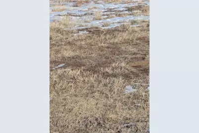 10515 Currier Road, Calhan, CO 80808 - Photo 3