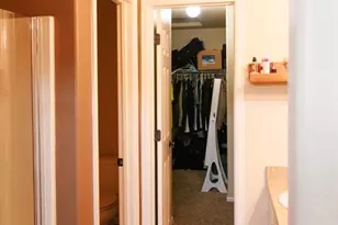 3051 Shikra View, Colorado Springs, CO 80916 - Photo 15