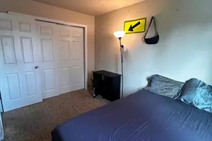 3051 Shikra View, Colorado Springs, CO 80916 - Photo 17