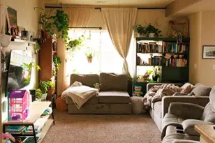 3051 Shikra View, Colorado Springs, CO 80916 - Photo 5