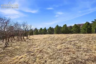 2615 Tamora Way, Colorado Springs, CO 80919 - Photo 35