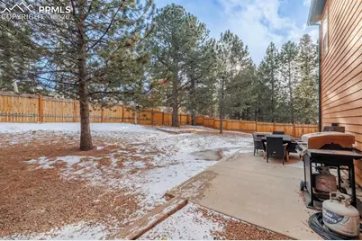 21 Shadowood Place, Woodland Park, CO 80863 - Photo 27