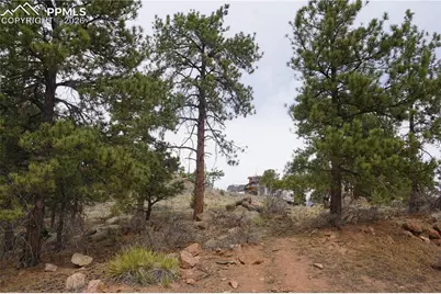 1893 Arapahoe Drive, Cripple Creek, CO 80813 - Photo 5
