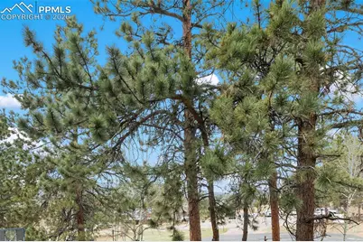 560 Manor Court #C, Woodland Park, CO 80863 - Photo 31