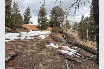 84 Point View Circle, Florissant, CO 80816 - Photo 3