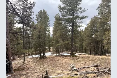 84 Point View Circle, Florissant, CO 80816 - Photo 1