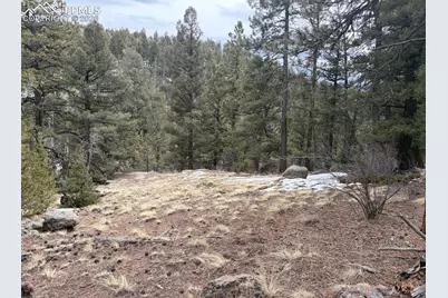 84 Point View Circle, Florissant, CO 80816 - Photo 9