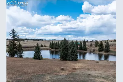 19 Worley Road, Divide, CO 80814 - Photo 3