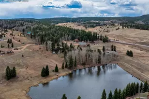 19 Worley Rd, Divide, CO 80814 - Photo 33