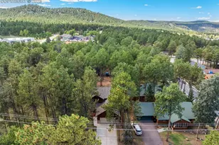 316 N Walnut St, Woodland Park, CO 80863 - Photo 37