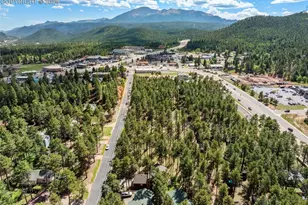 316 N Walnut St, Woodland Park, CO 80863 - Photo 39