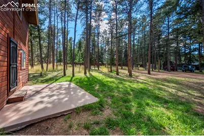 316 N Walnut Street, Woodland Park, CO 80863 - Photo 31