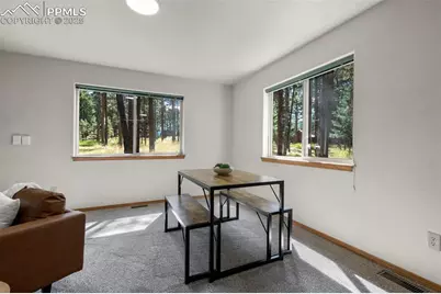 316 N Walnut Street, Woodland Park, CO 80863 - Photo 9