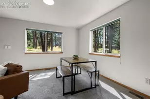 316 N Walnut St, Woodland Park, CO 80863 - Photo 9