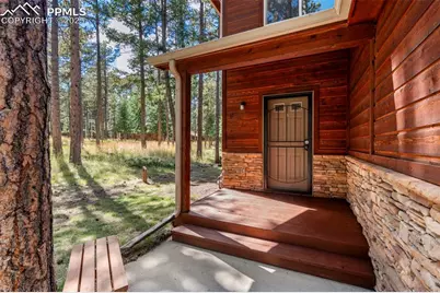 316 N Walnut Street, Woodland Park, CO 80863 - Photo 3