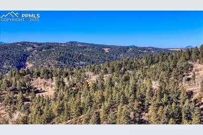 741 Pikes Peak Drive, Divide, CO 80814 - Photo 7