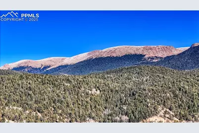 741 Pikes Peak Drive, Divide, CO 80814 - Photo 25