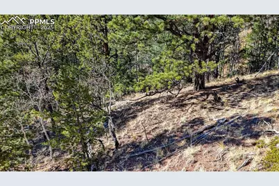 741 Pikes Peak Drive, Divide, CO 80814 - Photo 23