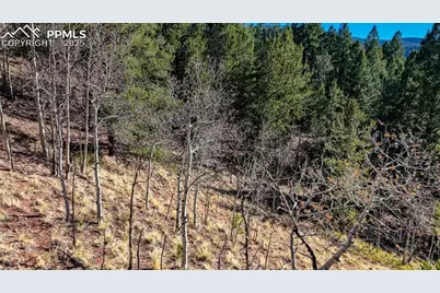 741 Pikes Peak Drive, Divide, CO 80814 - Photo 5