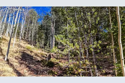 741 Pikes Peak Drive, Divide, CO 80814 - Photo 11