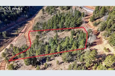 741 Pikes Peak Drive, Divide, CO 80814 - Photo 3