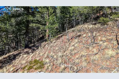 741 Pikes Peak Drive, Divide, CO 80814 - Photo 9