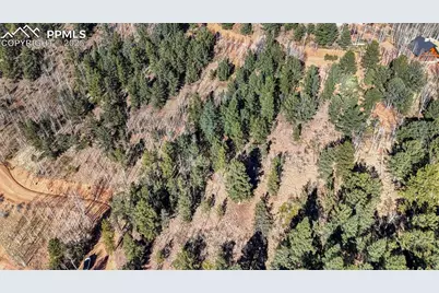 741 Pikes Peak Drive, Divide, CO 80814 - Photo 21