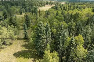 284 County Road 511 Rd, Divide, CO 80814 - Photo 49