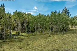 284 County Road 511 Rd, Divide, CO 80814 - Photo 47
