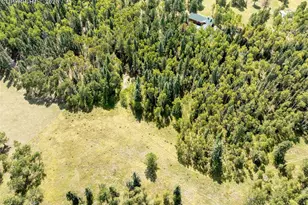 284 County Road 511 Rd, Divide, CO 80814 - Photo 41